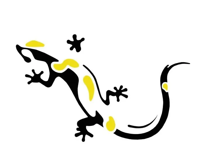 Salamandra - Sudety